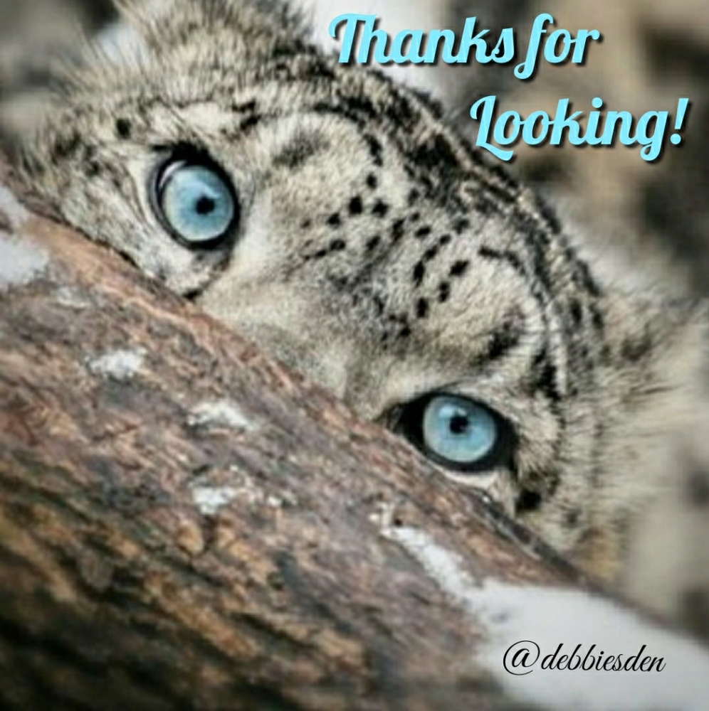 Thanks for Looking!